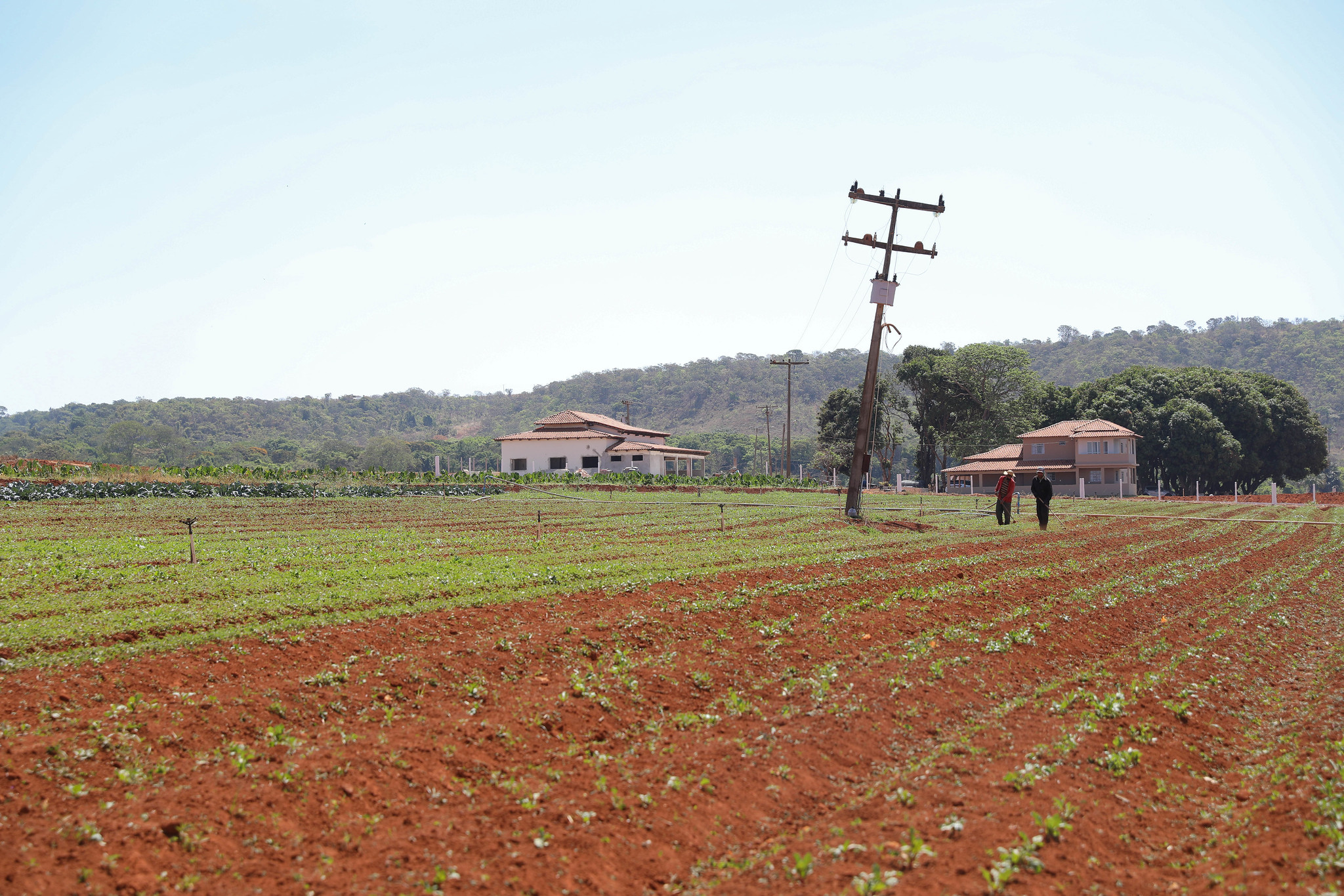 Ocupa uma área rural no DF? Saiba como solicitar a regularização fundiária
