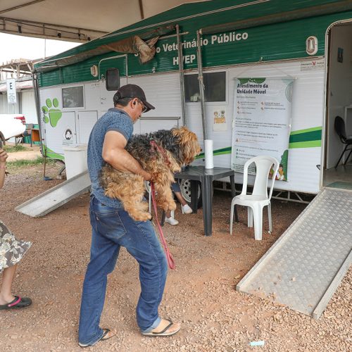 Unidade Móvel do Hvep leva atendimentos veterinários gratuitos a Santa Maria