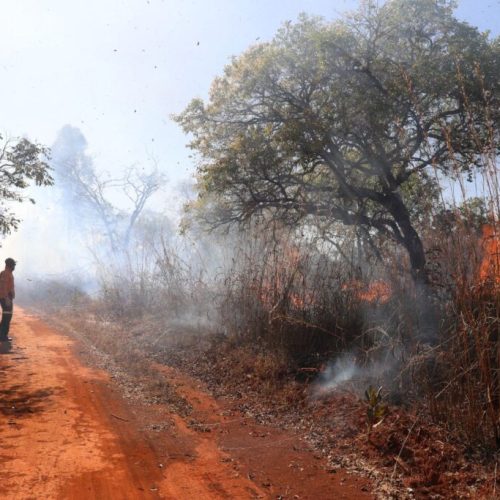 Saiba quais são os canais para denunciar incêndios florestais no DF