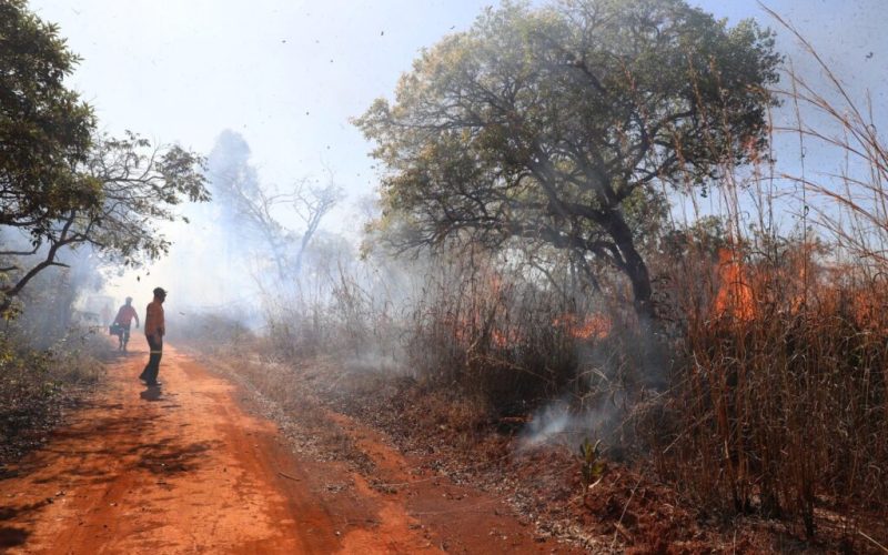 Saiba quais são os canais para denunciar incêndios florestais no DF