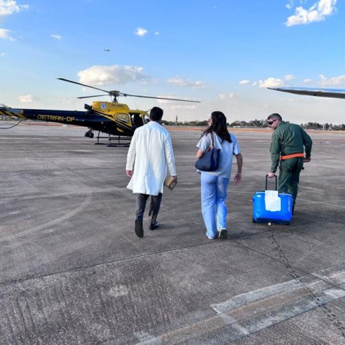 Sentinela transporta mais um coração e um fígado para transplante