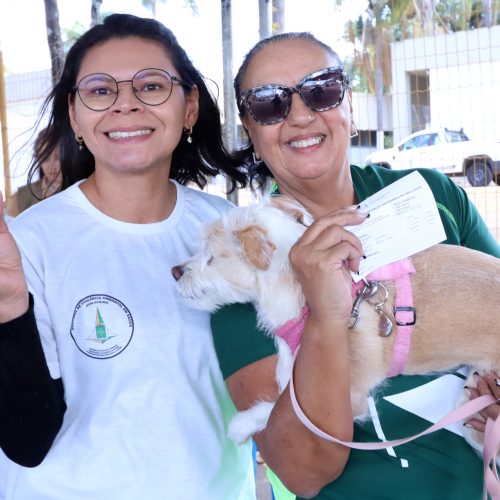 Sábado (1º) é dia de vacinar cães e gatos contra a raiva