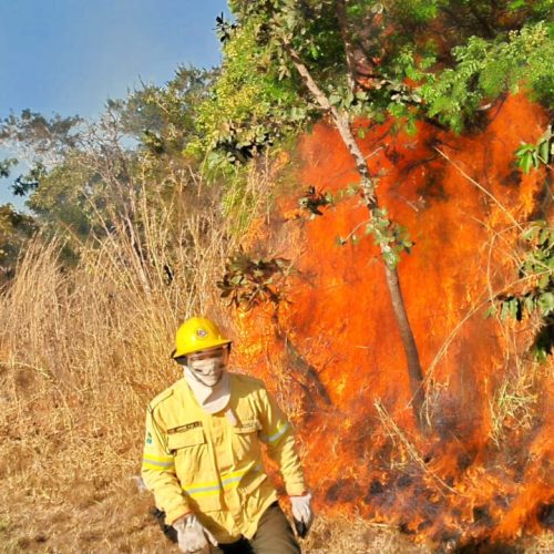 Queima de lixo e vegetação é crime ambiental e eleva risco de incêndio durante o período de seca
