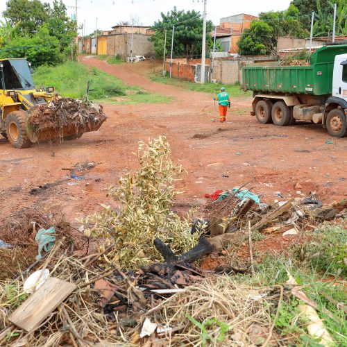 Coleta de lixo descartado irregularmente no DF custa R$ 5,8 milhões aos cofres públicos todos os meses