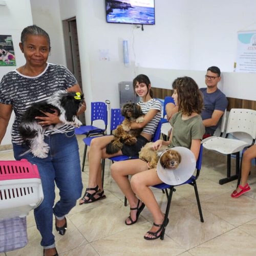 Programa de castração do GDF já atendeu mais de 700 animais em fevereiro