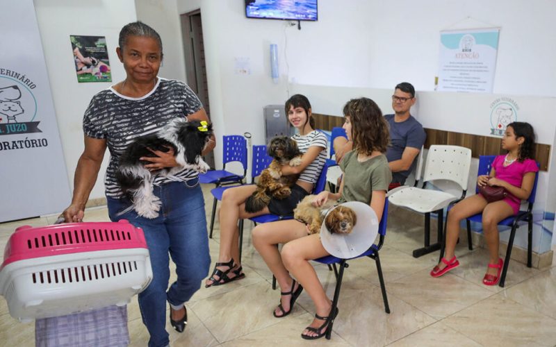 Programa de castração do GDF já atendeu mais de 700 animais em fevereiro