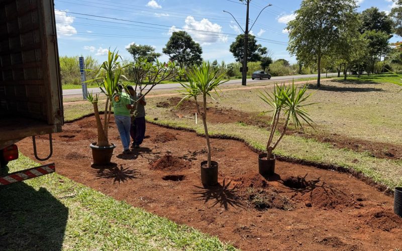Programa Adote uma Praça chega ao Park Way e fortalece participação da comunidade
