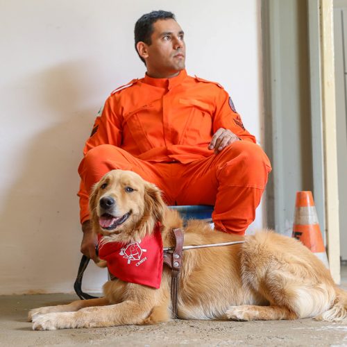 Cães-guia do Corpo de Bombeiros buscam famílias para nova fase do projeto
