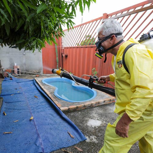 DF registrou redução de 96% nos casos prováveis de dengue em 2025