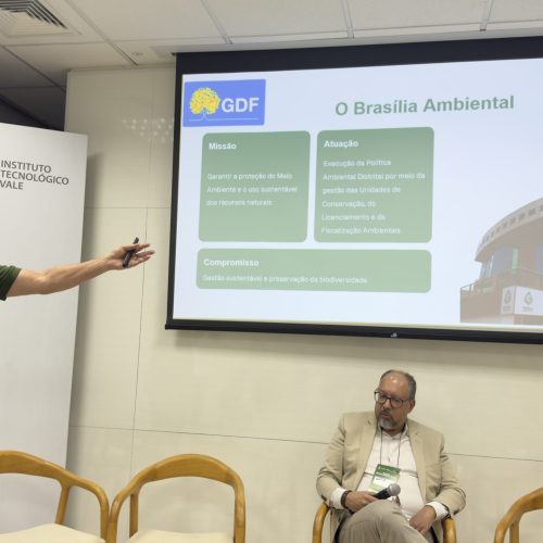 GDF apresenta ações de proteção do Cerrado na COP 30, em Belém