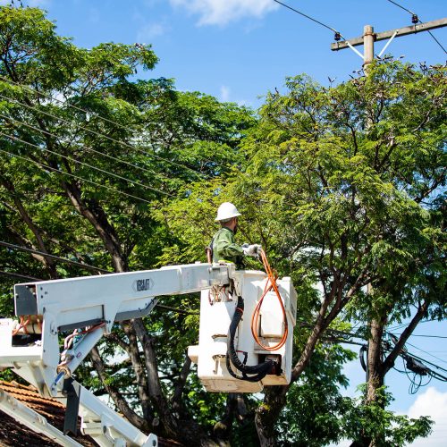 Desligamentos programados de luz afetam Planaltina, Fercal, Paranoá e Samambaia nesta terça (21)