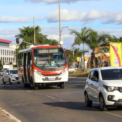 Zebrinhas ampliam integração e registram mais de 21 mil acessos diários no DF