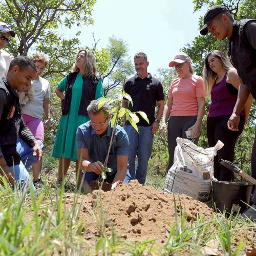 Projeto Disque-Cerrado leva mudas nativas para moradores do Jardim Botânico e incentiva cuidados com a natureza