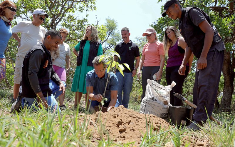 Projeto Disque-Cerrado leva mudas nativas para moradores do Jardim Botânico e incentiva cuidados com a natureza