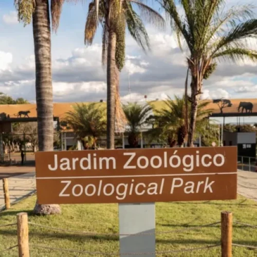 Zoo de Brasília vai ressarcir visitantes que não utilizaram meia-entrada